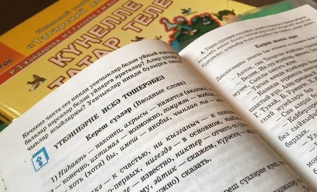 «В деле преподавания родных языков нужен уже не силовой подход, а научный» - «Образование»
