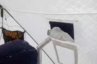 В Норильске от угарного газа в машине погибла пара влюбленных подростков - «Происшествия»