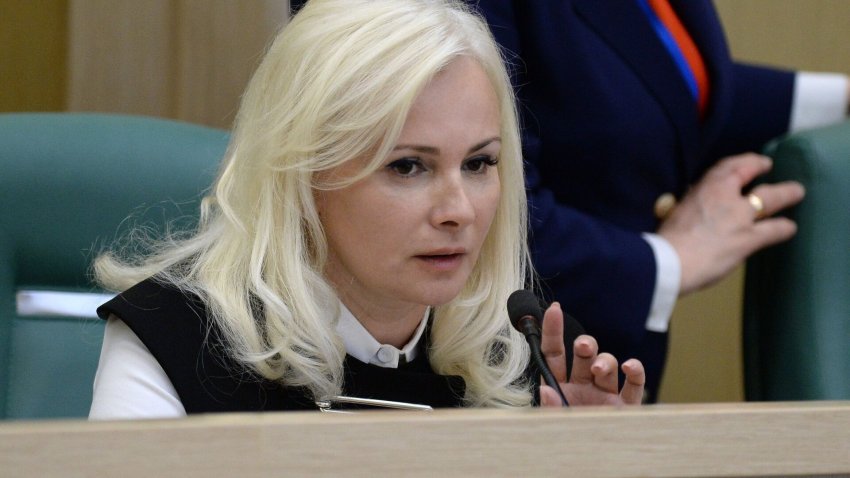 В Совфеде оценили возможные поставки Украине американских истребителей - «Власть»
