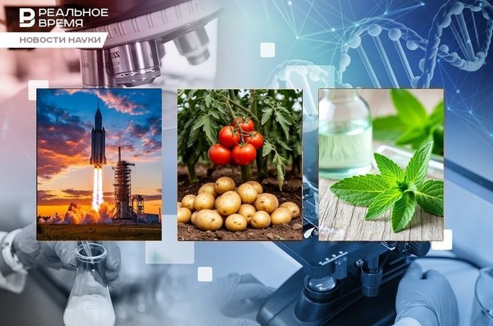 Дыры на Солнце, томатное происхождение картофеля, стевия против рака - «Медицина»