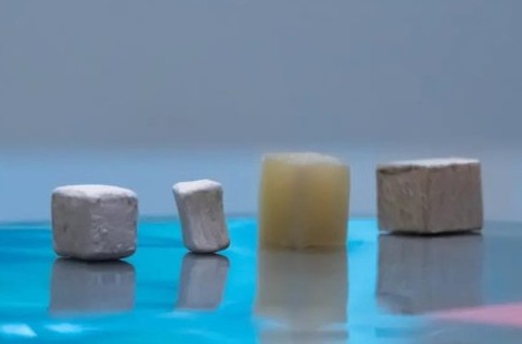 Инновационная древесина может улавливать диоксид углерода - «Выбор Инноваций»