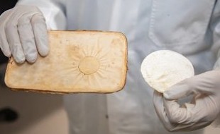 Инновационный материал из грибов может спасти жилище во время пожара - «Выбор Инноваций»