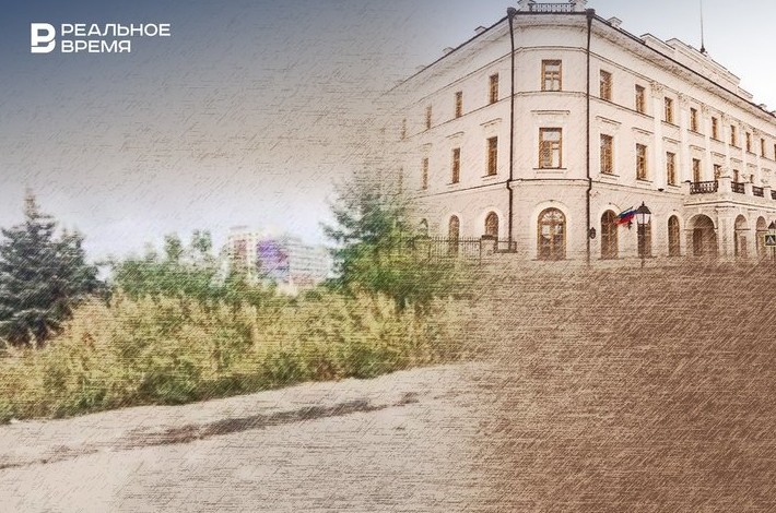 Кто расчистит улицы Казани от диких зарослей бурьяна и репейника? - «Инфраструктура»