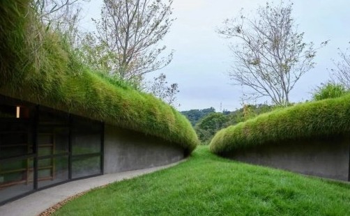 Необыкновенная библиотека появилась под холмом - «Выбор Инноваций»