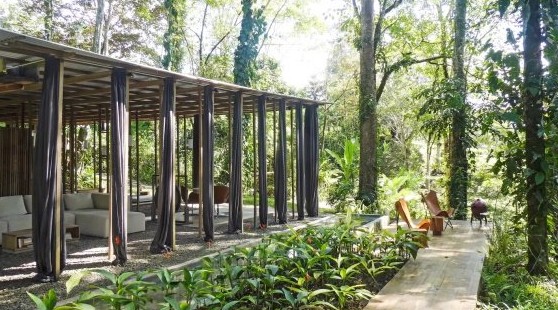 «Open Jungle House»: невероятный дом не имеет стен - «Выбор Инноваций»