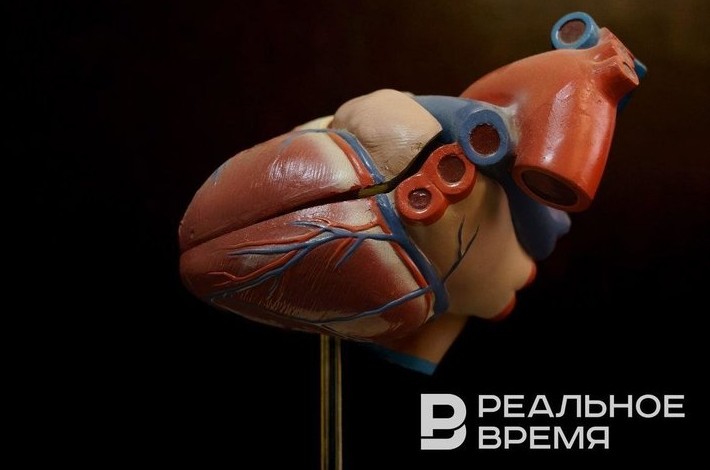 Яйцеклетки из кожи человека, тайна «бесовских огней» и чтение мышиных мыслей - «Медицина»