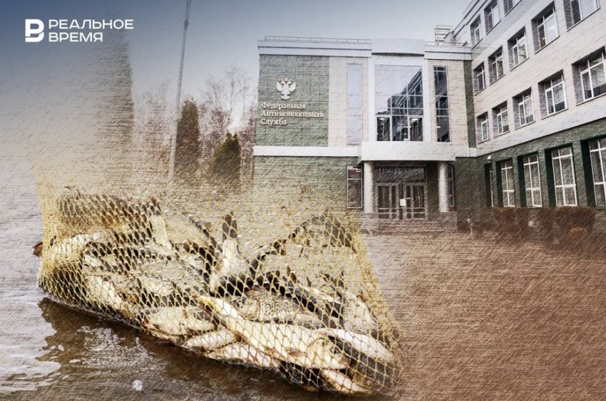 Львиную долю рыбных промыслов в Татарстане «поделили» три компании - «Власть»