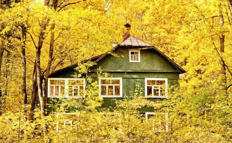 Магазины на дачах: в ГД хотят упростить строительство - «Выбор Инноваций»