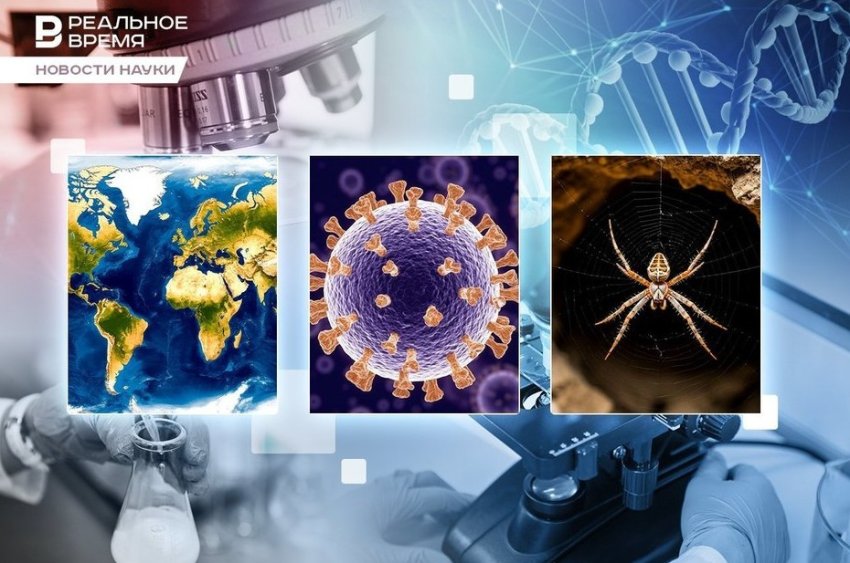 Кошмар арахнофоба, атлас древнеримских дорог, лекарство от рака - «Медицина»