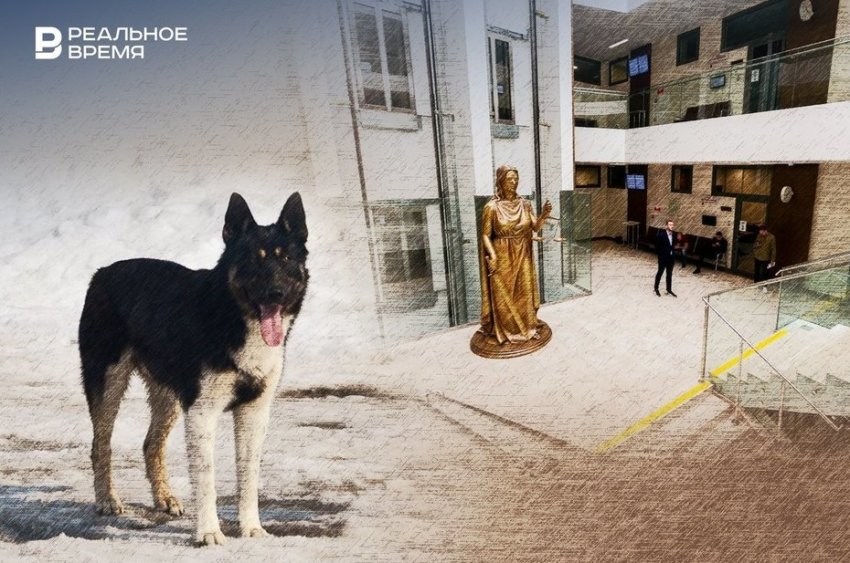 В Татарстане признали законным включение «отловщика» собак в реестр недобросовестных поставщиков - «Происшествия»