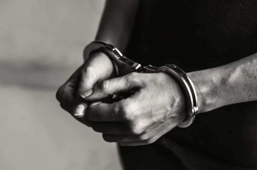 NYP: житель США объяснил кражу 180 кг авокадо желанием купить подарки детям - «Происшествия»