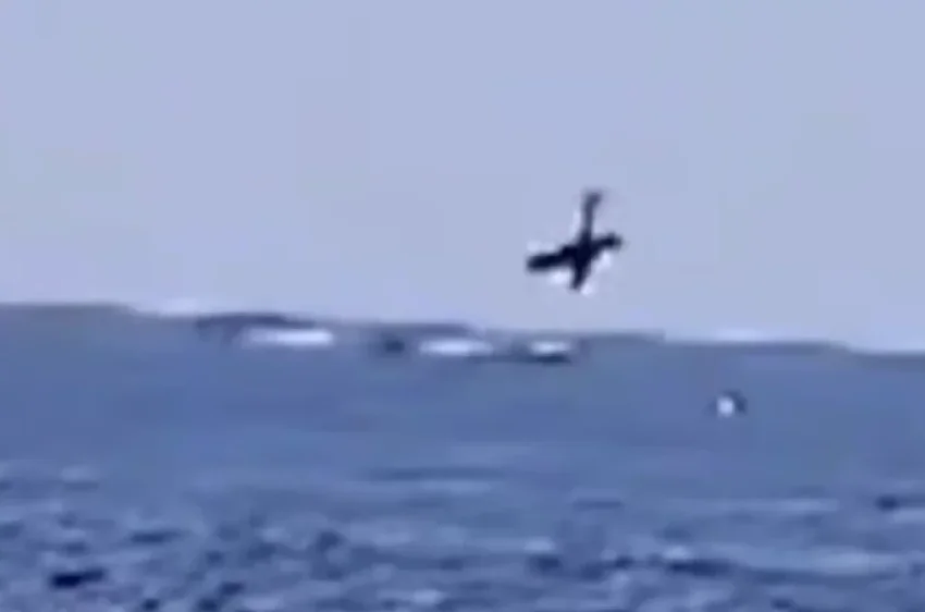 В Рио-де-Жанейро произошло смертельное крушение самолета в море - «Происшествия»