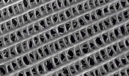 Крылья мотыльков позволят получить идеальный звукоизоляционный материал - «Выбор Инноваций»