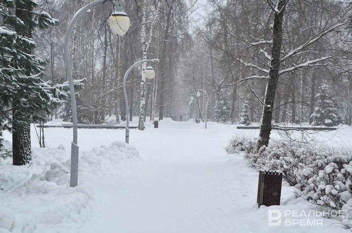 Марк Шишкин: «Хочу сделать дом-музей Ленина центром краеведческого просвещения» - «Инфраструктура»