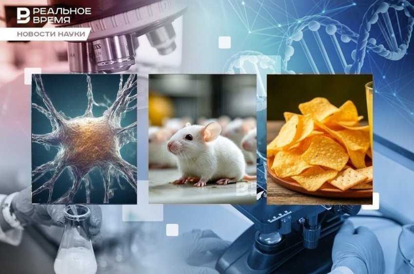 Борьба с супербактериями, наследуемая прокрастинация, иммунотерапия против рака - «Медицина»