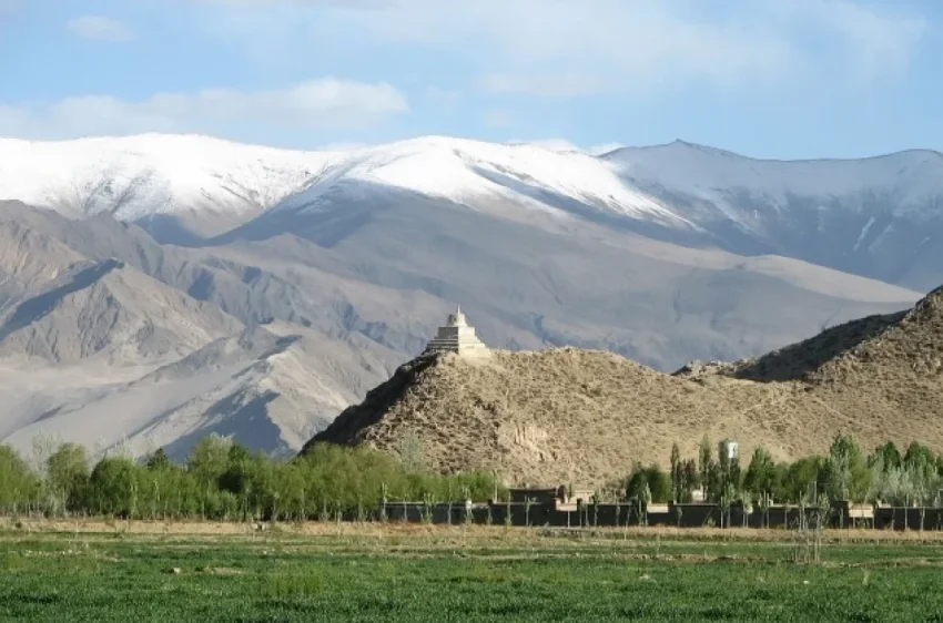 На Тибете заплутавшая туристка выжила, обмазавшись навозом, чтобы согреться - «Происшествия»