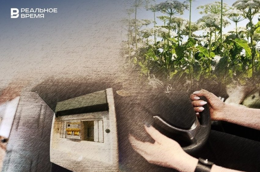 Новое в марте: единые сроки оплаты ЖКУ, вывески без иностранных слов и локализация такси - «Образование»