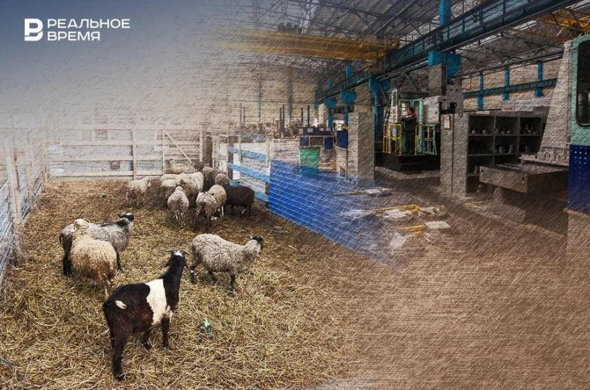 Тактика выживания: почему татарстанский бизнес «съеживается» - «Происшествия»