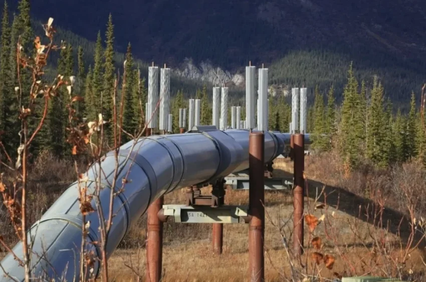 В Ленинградской области при атаке БПЛА пострадал нефтепровод - «Происшествия»