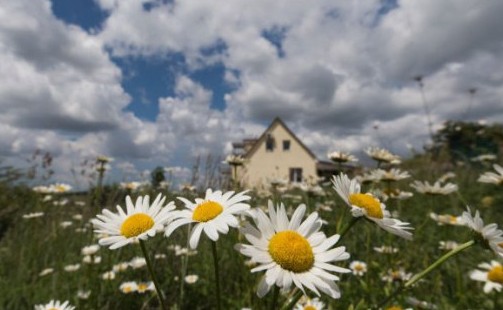 В РФ отрегулируют отношения дачников в СНТ - «Выбор Инноваций»