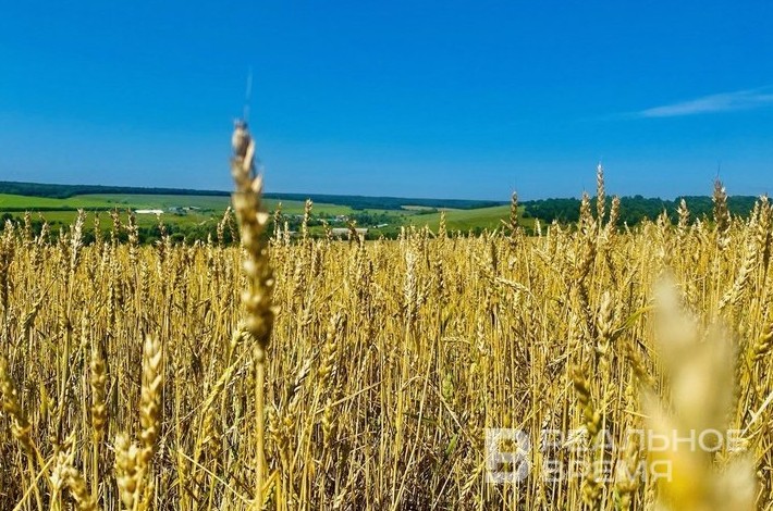 Дрожжановский район: родниковая вода — в каждый дом - «Инфраструктура»